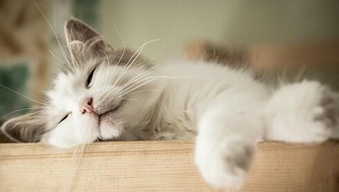 Maximální pohodlí díky nižší úrovni zvuku